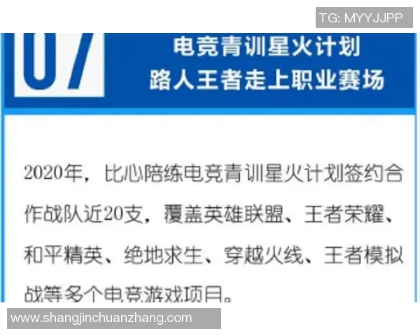 和平精英焦点FPX耐力分析与战术探讨的深度研究