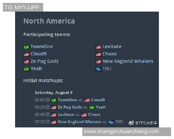 电竞实时数据全解析从零基础到精通CSGO技术攻略